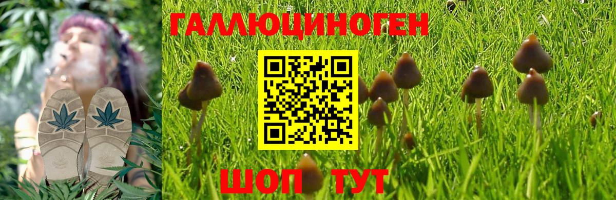Галлюциногенные грибы мухоморы Лабытнанги
